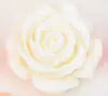 Rose Gold Metal Anal Plug with Flower Design